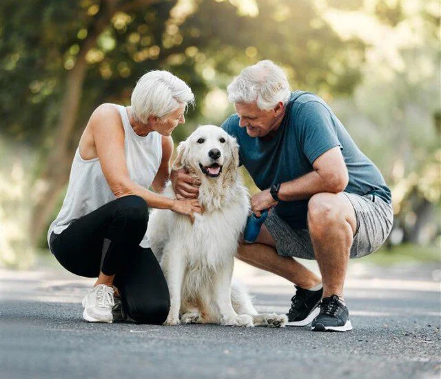 AdobeStock_536582271