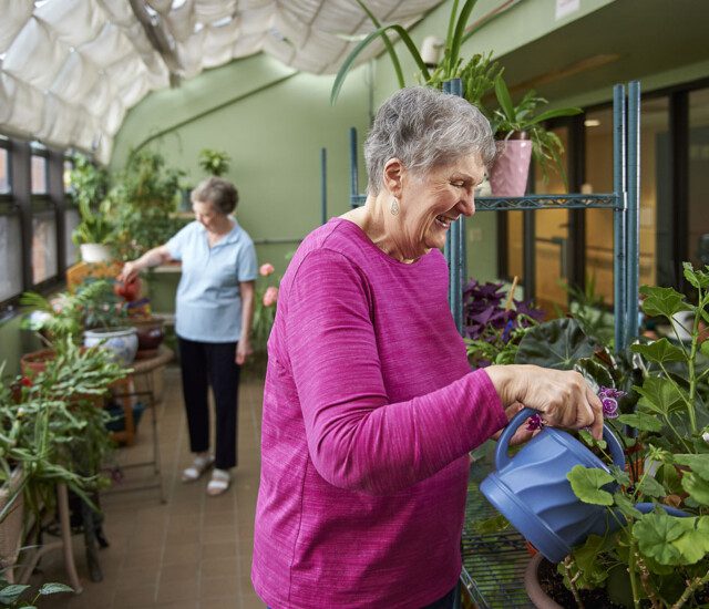two smiling senior women work on watering the plants in the greenhouse at Beacon Hill Senior Living Community