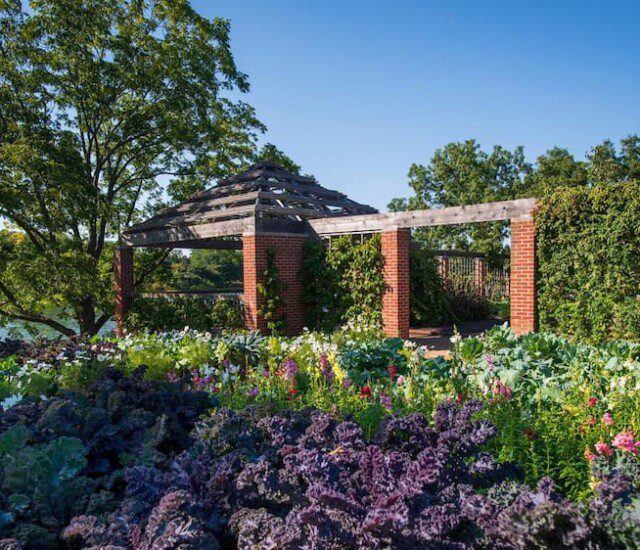 the outdoor gardens at Beacon Hill in Lombard, IL