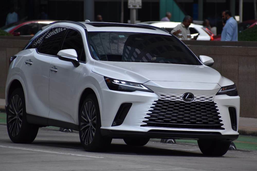 White 2025 Lexus RX Hybrid